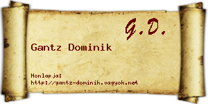 Gantz Dominik névjegykártya